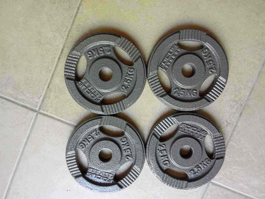 halterschijven, Ophalen, Zo goed als nieuw, Halterschijven