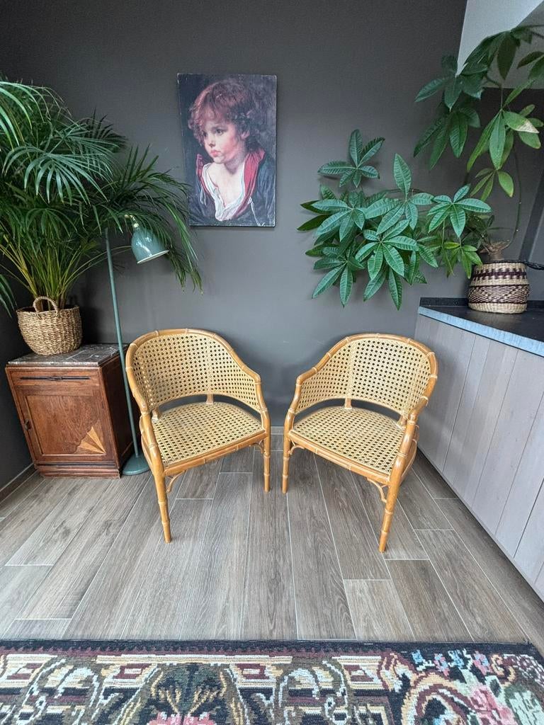 Set van 2 vintage rotan faux-bamboo stoelen, Ophalen