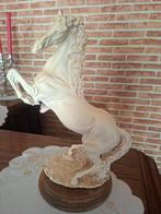 Mooi wit paard, Ophalen