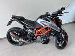 Ktm Duke 125, Motos, Permis Moto A1 minimum, Éclairage LED, 1 cylindre, Manuelle