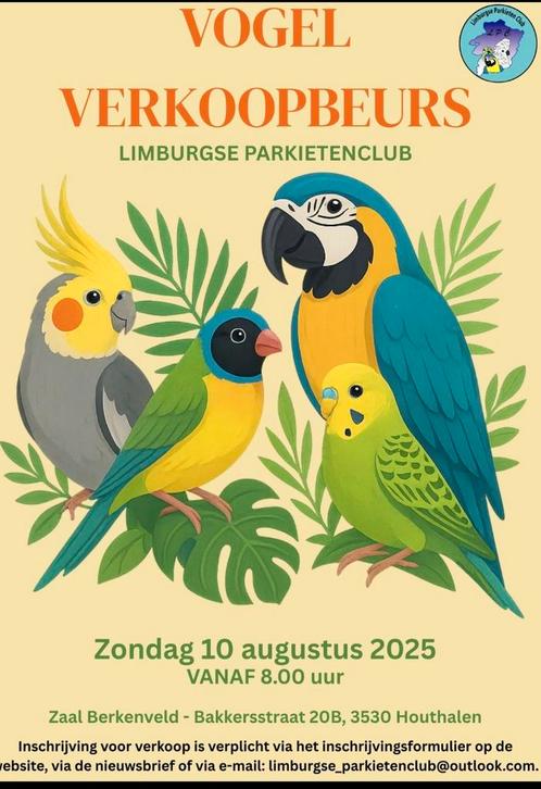 Parkieten, papegaaien, exoten verkoopbeurs, Dieren en Toebehoren, Vogels | Overige Vogels