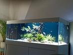 Joli aquarium, Comme neuf, Enlèvement ou Envoi