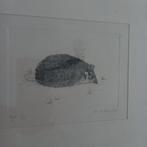 Vd Peer    ets   egel, Ophalen of Verzenden