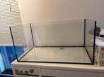 Hamster kooi groot gratis, Dieren en Toebehoren, Ophalen, Kooi, Hamster