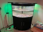 aquarium met kast en ledlamp, Dieren en Toebehoren, Vissen | Aquaria en Toebehoren, Ophalen, Gebruikt, Leeg aquarium
