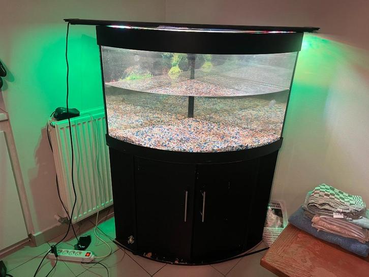 aquarium met kast en ledlamp, Dieren en Toebehoren, Vissen | Aquaria en Toebehoren, Gebruikt, Leeg aquarium, Ophalen