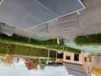 Taxus Haag gratis uit doen 22m, Ophalen of Verzenden