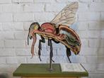 anatomisch model werkbij


Maker: SOMS, Antiek en Kunst, Curiosa en Brocante, Ophalen
