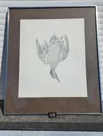 Lithographie oiseaux mort signe paul georges klein, Antiek en Kunst, Ophalen of Verzenden