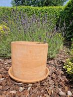 Prachtige grote bloempot, plantenbak terracotta, 35cm, Gebruikt, Tuin, Rond, Minder dan 40 cm
