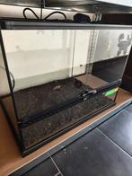 Exo Terra 60x45x45, Enlèvement