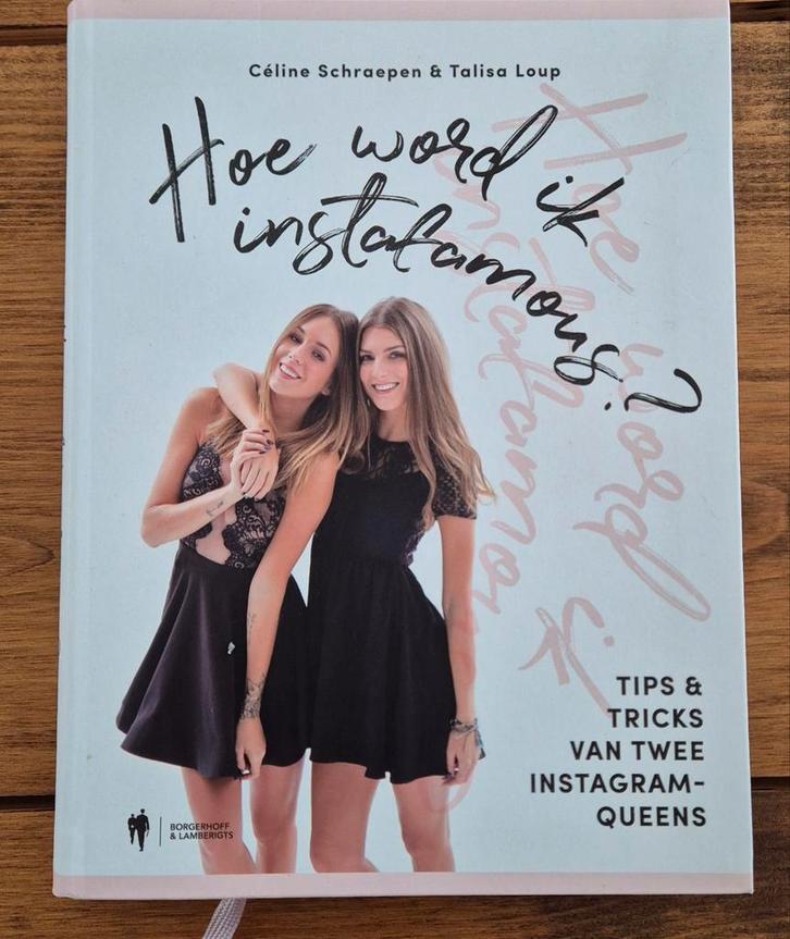 Hoe word ik instafamous, Livres, Conseil, Aide & Formation, Comme neuf, Enlèvement
