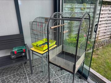 Vogelhokken of voor parkieten beschikbaar voor biedingen