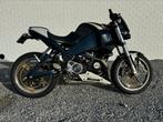Buell XB9 Full Carbon, Naked bike, Particulier, 2 cylindres, Plus de 35 kW