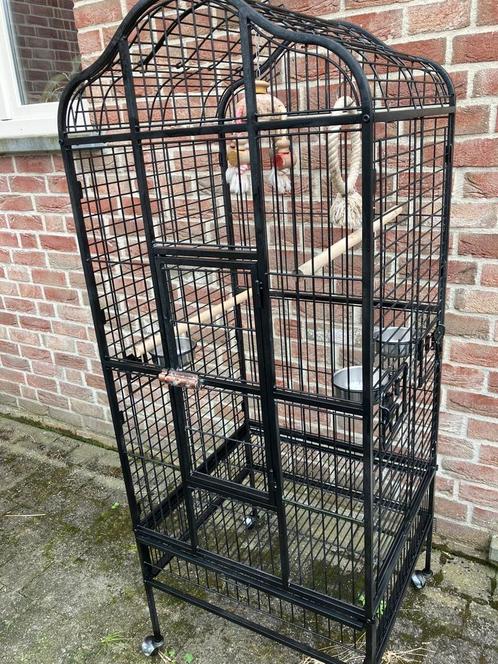PAPEGAAIENKOOI MET OPEN DAK EN TOEBEHOREN NU 160 EURO, Dieren en Toebehoren, Vogels | Hokken en Kooien, Zo goed als nieuw, Volière