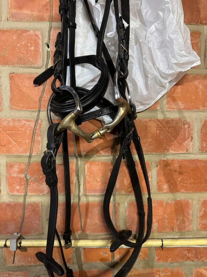 Hoofdstel cob met of zonder bit, Dieren en Toebehoren, Paarden en Pony's | Hoofdstellen en Tuigage, Zo goed als nieuw, Ophalen