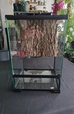 Terrarium reptizoo 30x30x45, Dieren en Toebehoren