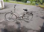 Giant danes fiets, Fietsen en Brommers, Fietsen | Mountainbikes en ATB, Ophalen, Gebruikt, Hardtail, 49 tot 53 cm