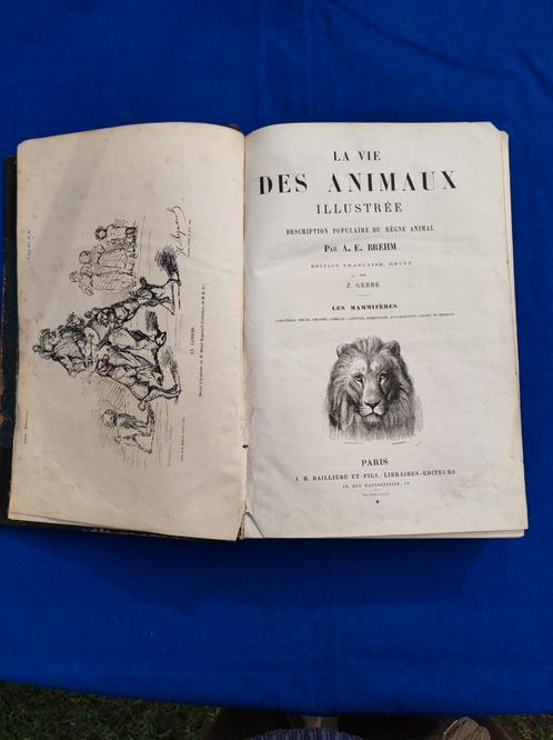 Het leven van dieren 1808, Antiek en Kunst, Antiek | Boeken en Manuscripten, Ophalen of Verzenden