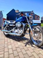 Harley davidson 833 xl custom injection, Motoren, Motoren | Harley-Davidson, 2 cilinders, Chopper, Particulier, 1200 cc