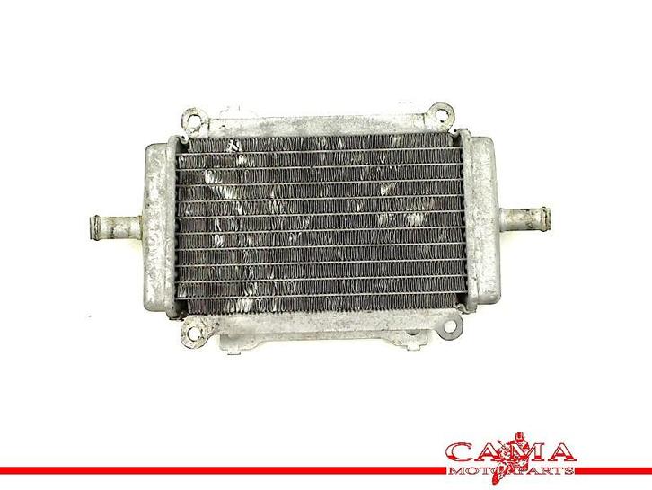 RADIATEUR GTS 300 2014-2017 (GTS300 Super ZAPMA3300), Motoren, Onderdelen | Overige, Gebruikt