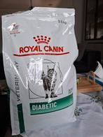 Voeding en insuline diabetic kat, Dieren en Toebehoren, Ophalen, Kat