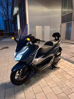 Honda Forza 300 - À saisir ️, Motoren, Particulier, Scooter