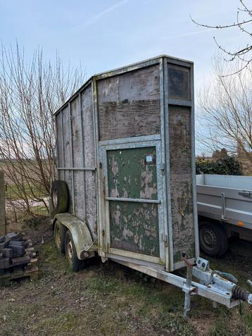 Anderhalfpaardstrailer  beschikbaar voor biedingen
