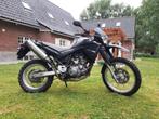 Yamaha XT660R, Motoren, 660 cc, Particulier, Enduro, 1 cilinder