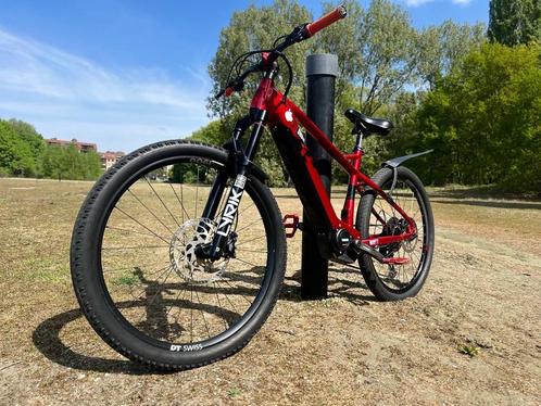 Elektrische fietsen Raymond, Fietsen en Brommers, Elektrische fietsen, Zo goed als nieuw, Ophalen of Verzenden