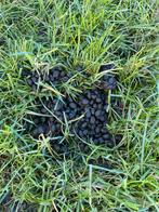 Alpacamest gratis, Jardin & Terrasse, Terre & Fumier, Enlèvement, Fumier