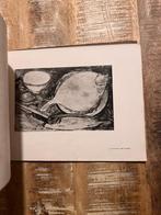 Walter Stevens, essay door Jef Crick, Antiek en Kunst, Ophalen of Verzenden, Jef Crick