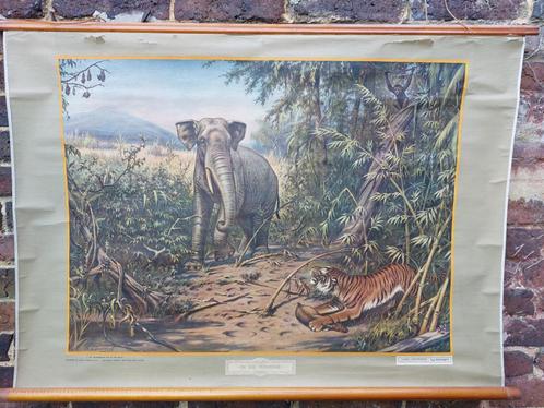 carte scolaire vintage animaux deco ecole zoo affiche decora, Antiquités & Art, Antiquités | Cartes scolaires, Nature et Biologie