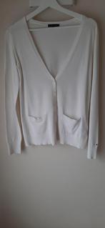 Giletje ( tommy hilfinger ) xs, Kleding | Dames, Ophalen, Wit