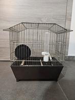 Zangkooi / vogelkooi, Ophalen of Verzenden, Zo goed als nieuw, Metaal, Vogelkooi