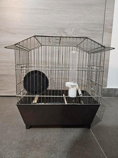 Zangkooi / vogelkooi, Dieren en Toebehoren, Vogels | Hokken en Kooien, Zo goed als nieuw, Vogelkooi, Metaal, Ophalen of Verzenden