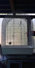 vogel kooi, Dieren en Toebehoren, Vogels | Hokken en Kooien, Ophalen, Gebruikt, Metaal, Vogelkooi