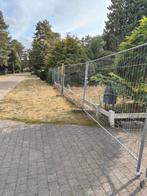 Hekken te koop, Tuin en Terras, Ophalen of Verzenden, Zo goed als nieuw