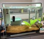 Aquarium Superfish 80 liter met veel toebehoren, Ophalen, Zo goed als nieuw