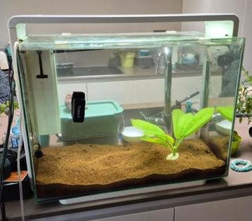 Aquarium Superfish 80 liter met veel toebehoren beschikbaar voor biedingen