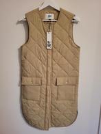 Nieuw ! Bodywarmer JDY maat xxs, bèige, Kleding | Dames, Ophalen, Nieuw, Beige