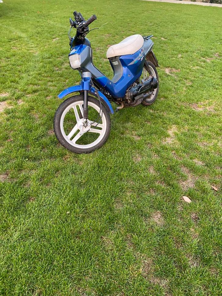Wallaroo a classe, Fietsen en Brommers, Brommers | Honda, Ophalen