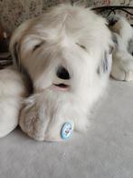 Super grote knuffel hond 140 cm, Kinderen en Baby's, Speelgoed | Knuffels en Pluche, Ophalen, Zo goed als nieuw, Hond