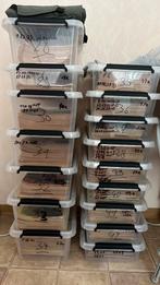 Groot lot kuifje magazines 563 stuks, Enlèvement, Tintin, Utilisé