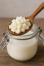 Melk-Kefir korrels, Diversen, Levensmiddelen, Ophalen