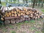 Droog brandhout, Tuin en Terras, Brandhout, Minder dan 3 m³, Ophalen