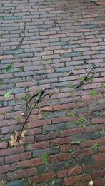 Hard gebakken stenen - Zelf uithalen - 90m2, Ophalen, Zo goed als nieuw, Klinkers