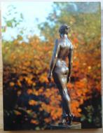 Irenée Duriez, 2000, monografie, signed, Beeldhouwkunst, Nieuw, Ophalen of Verzenden, Hugo Brutin