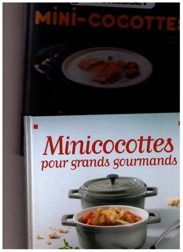 2 livres  de recettes avec des Mini cocottes  beschikbaar voor biedingen