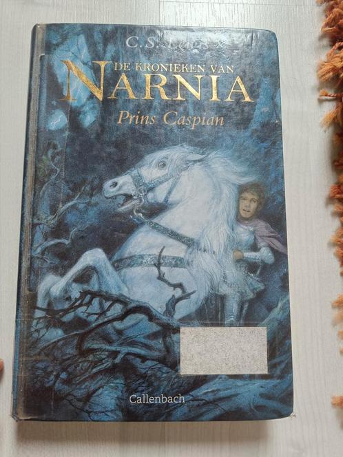 Chris Staples Lewis - Prins Caspian, Boeken, Kinderboeken | Jeugd | 10 tot 12 jaar, Zo goed als nieuw, Ophalen